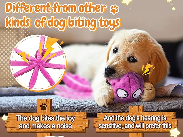 Dog Toys
