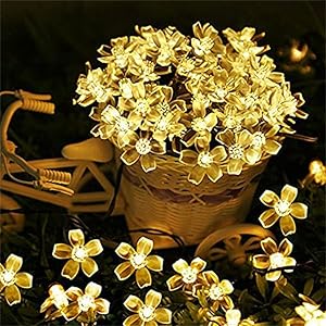 Versatile Decorative Use