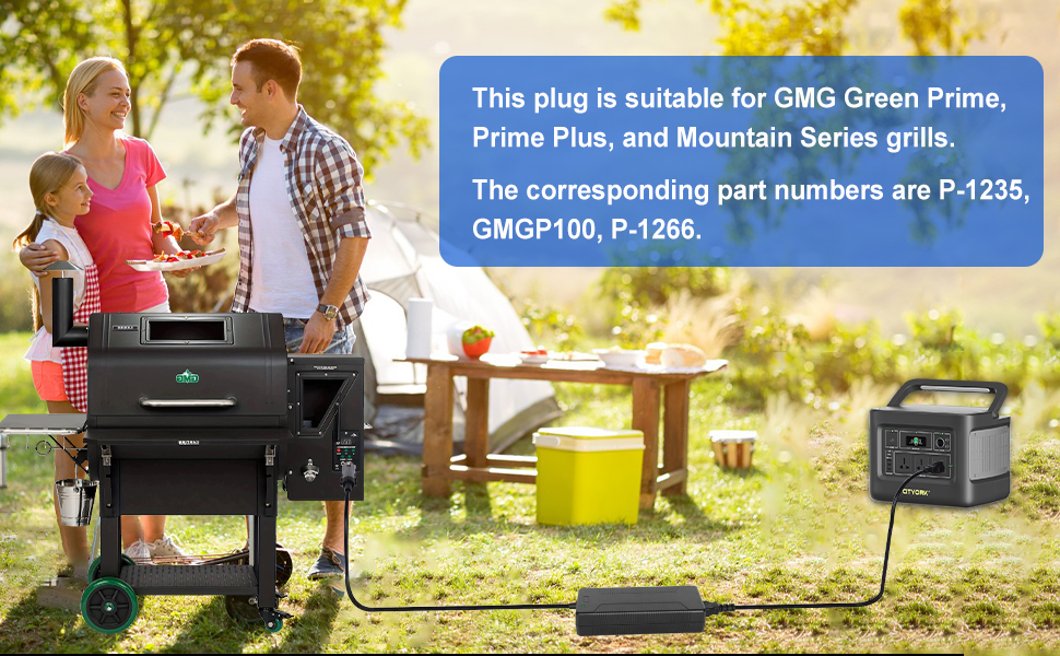 green mountain grill power supply