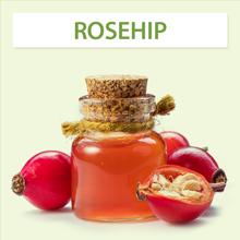 Rosehip icon