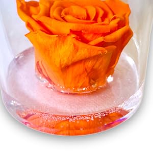 piantine finte decorative con vasetto rosa stabilizzata vera in vetro fiori stabilizzati rose finte