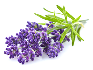 dry feet treatment for women