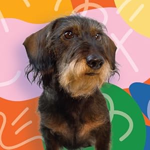 Jocomb Featured Image