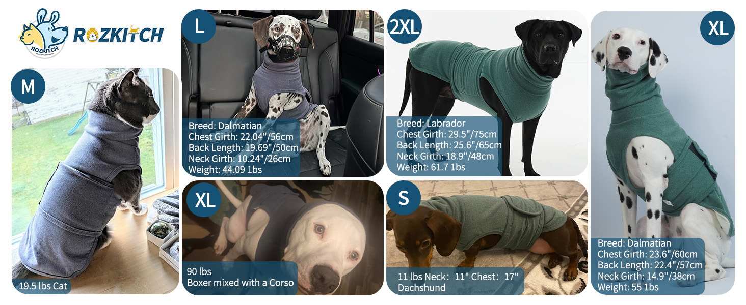 5602AFY derong Model show