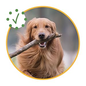 Triple-Action Ingredients