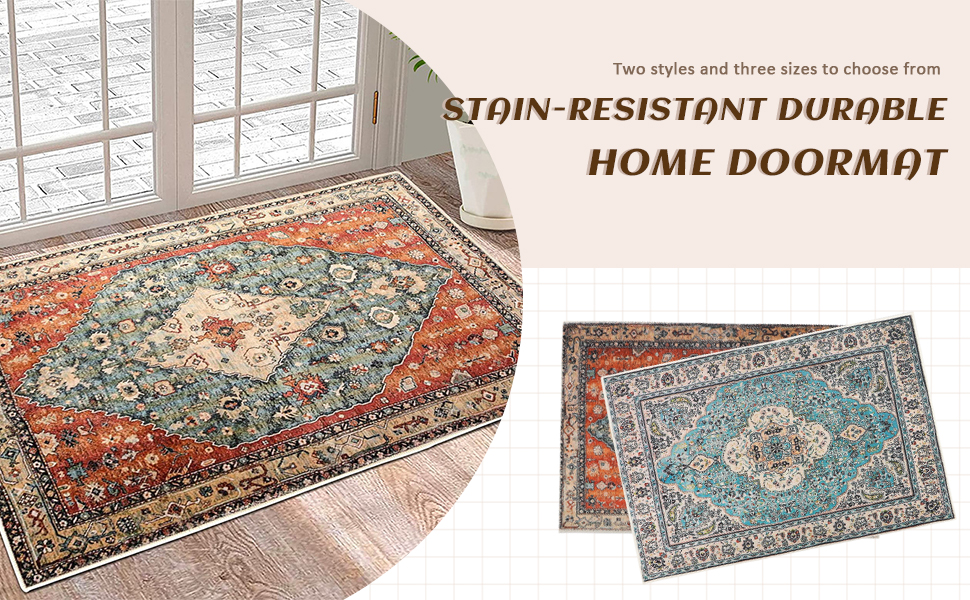 LY4U Door Mats Washable 50x80 CM, Indoor Nonslip Dirt Trapper Floor