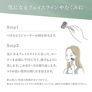 Amazon.co.jp: TEISIN 長柄ローラー（2WAY）トワテック 犬 猫