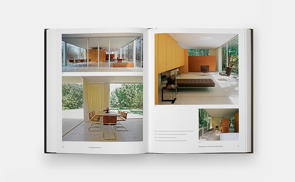 Mies: Mertins, Detlef: 9781838668174: Amazon.com: Books