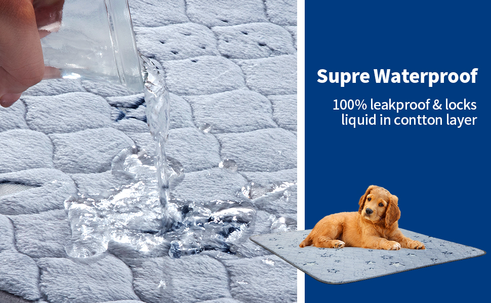 HOMBYS Washable Pee Pads for Dogs, 2 Packs Glow in The Dark Reusable Puppy Mats for