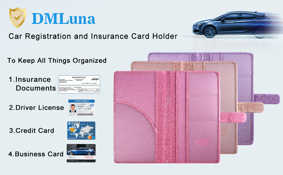 DMLuna car insurance holder