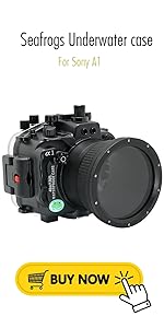 Sony A1
