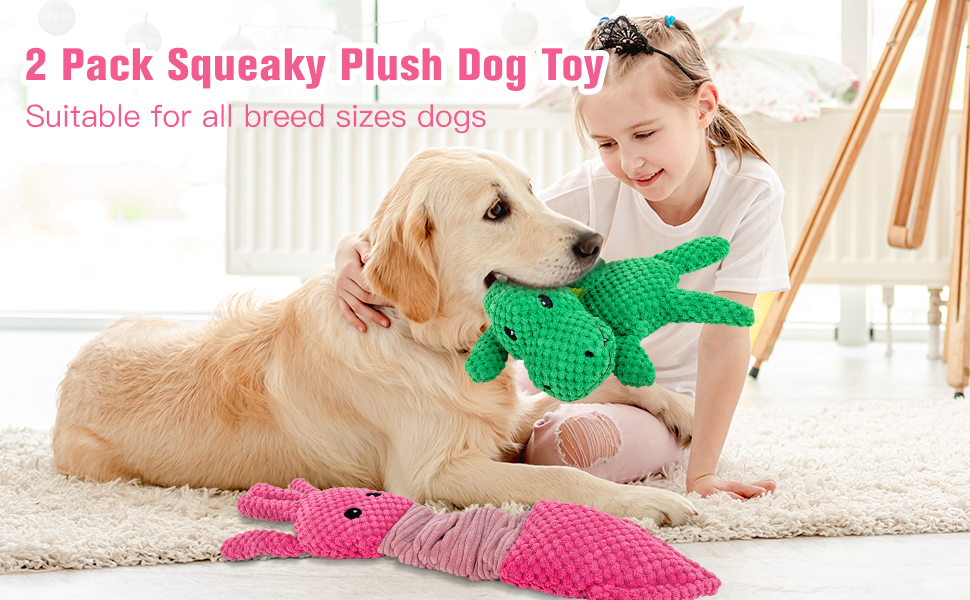 dog toys for aggressive chewers