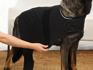 anxiety dog vest
