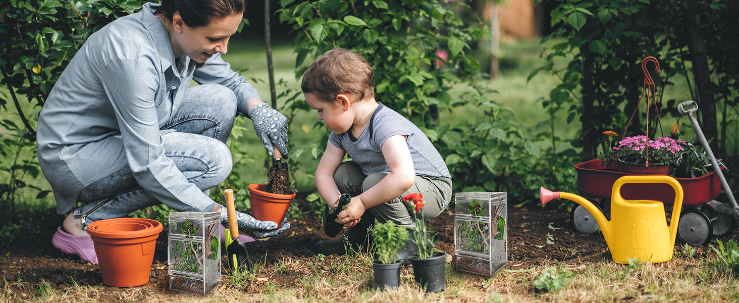 jumping spider enclosure
