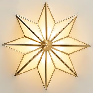 LED Ceiling Lamp