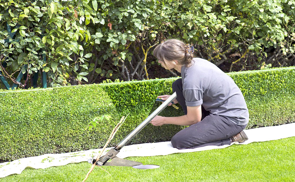 Tree Puller; Invasive Plant Remover