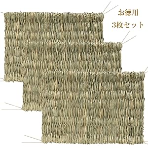 うさぎ　モルモット　チンチラ　デグー　小動物　牧草マット　10枚セット　新品 小動物 ハムスター チンチラ デグー マット クッション 2枚