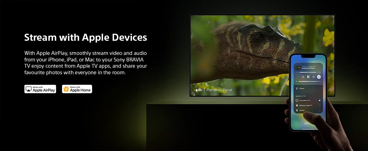 Apple Airplay2/Apple HomeKit