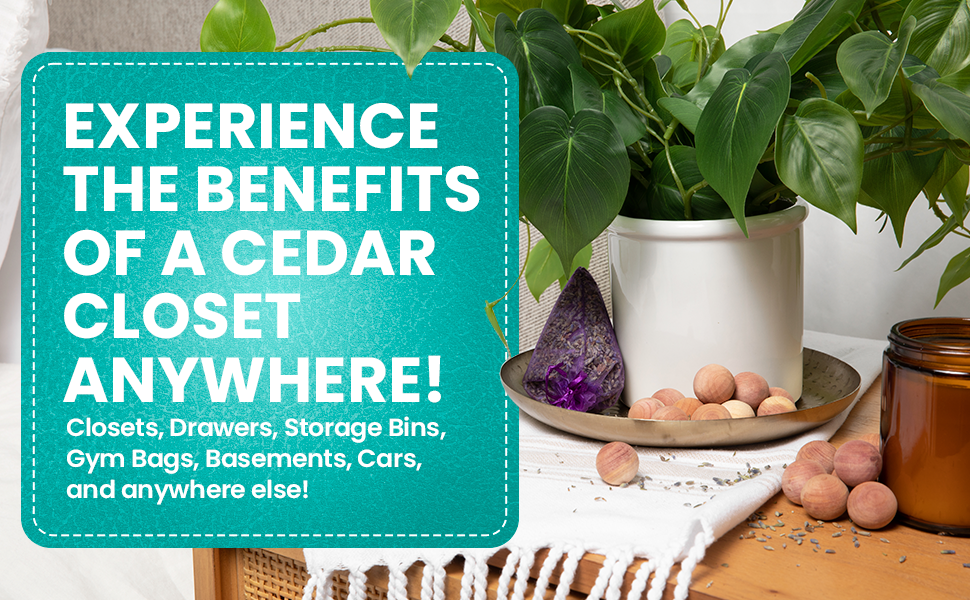 12 Cedar Blocks for Clothes Storage Cedar Chips for