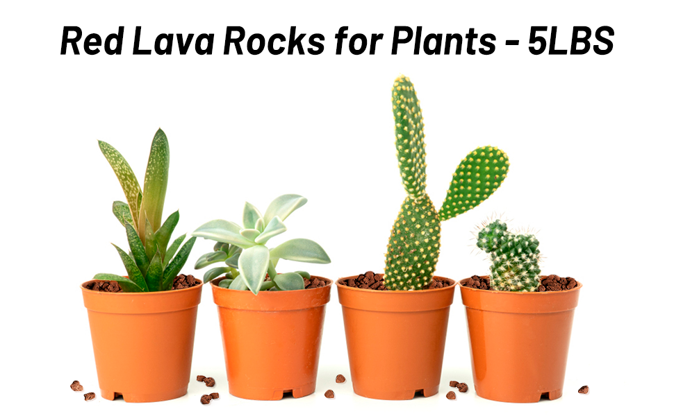 Red Lava Rock 5LB for Plants Garden Landscaping Decoration