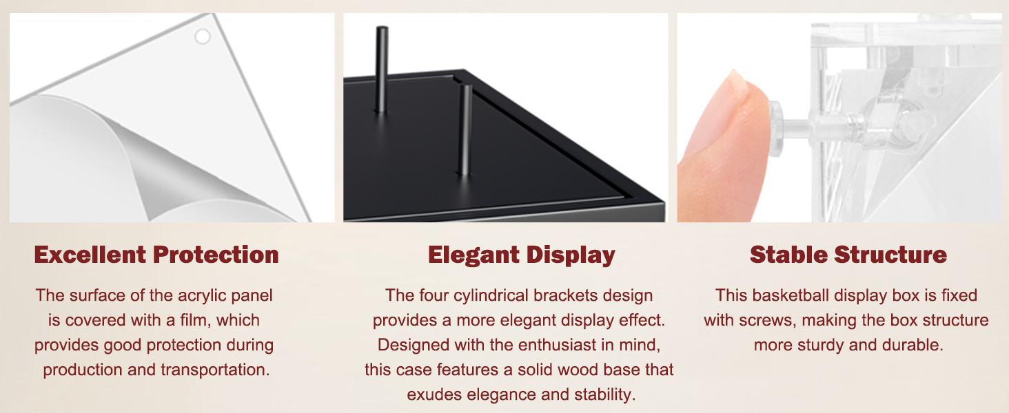 Basketball Display Case