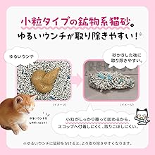 ねこ 他の人はか購入しないでください Mameta, the eldest cat who inherited the will of the elderly