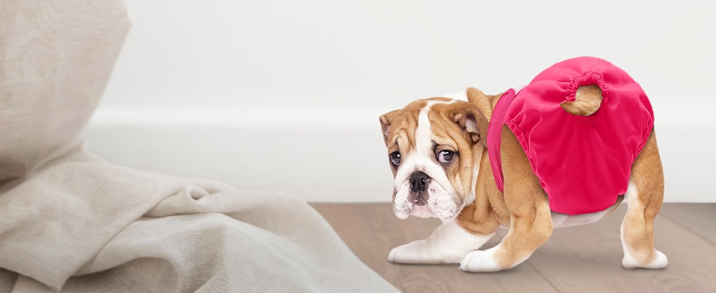 Washable Diaper