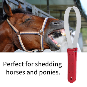 Horse Shedder Scraper