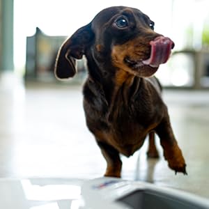 Small manufacture image 8