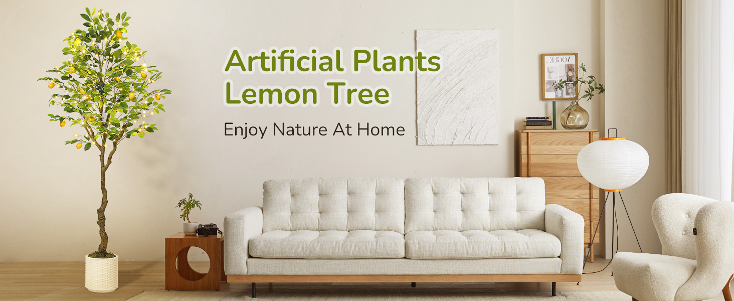 lemon tree