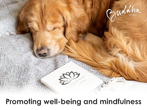 Buddha Board, promoting well-being and mindfulness