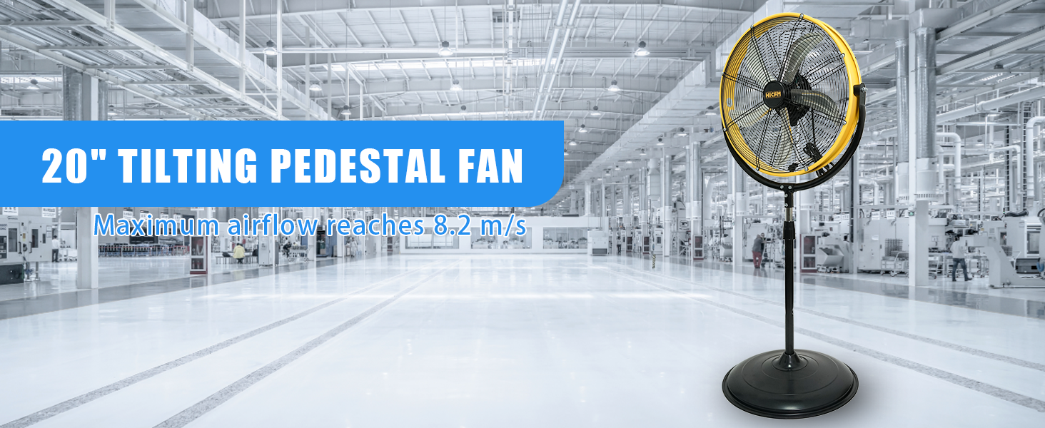 Pedestal Fan