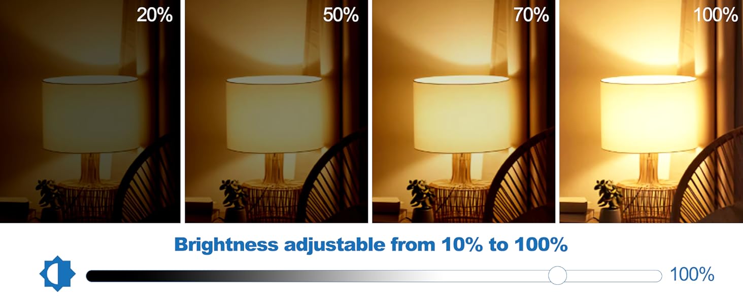 G50 6W LED Light Bulbs