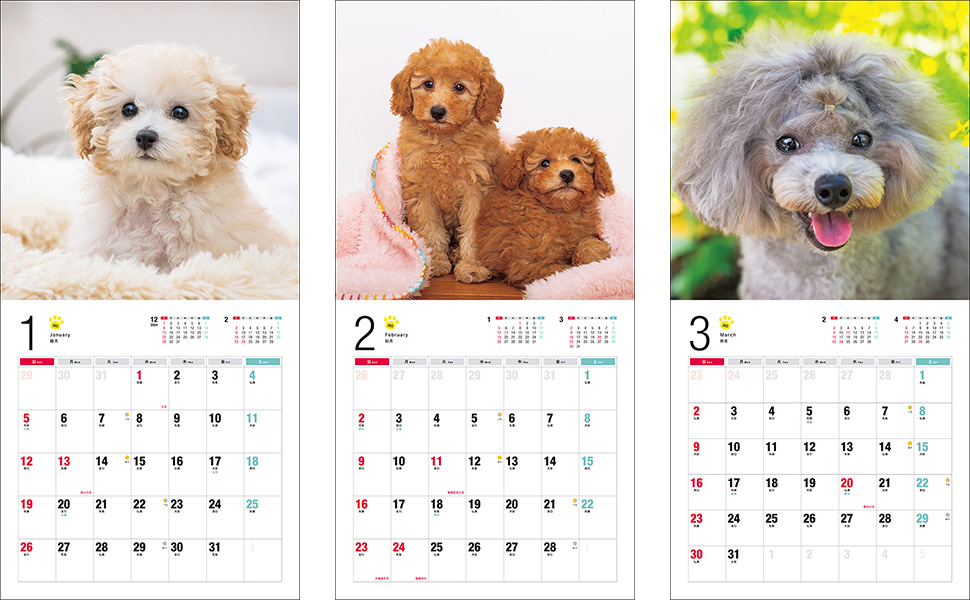 アンティーク　プードルの日めくりカレンダー アンティーク プードルの日めくりカレンダー