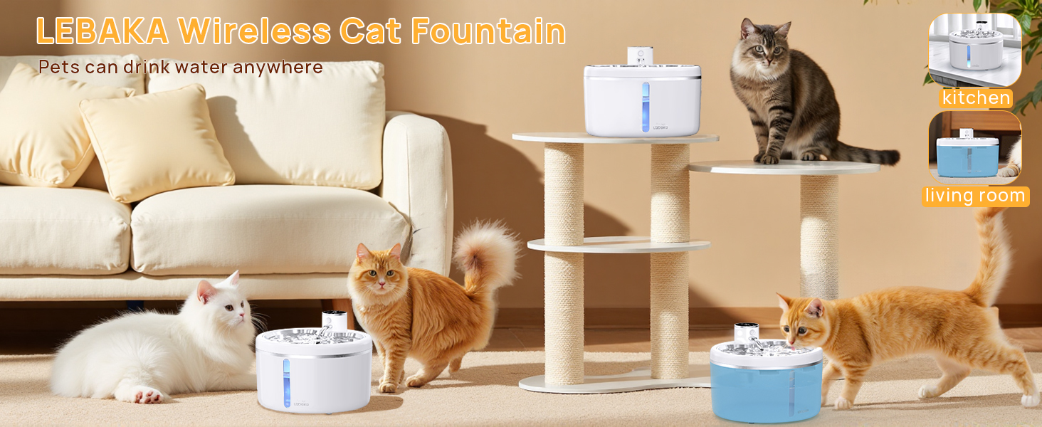 automatic water dispenser for cats