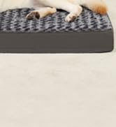 MIHIKK Large Orthopedic Dog Bed for Anxiety, Removable Washable Cover, Waterproof, 35x22 Inch, Gray  
MIHIKK Large Egg C 58d7c3e2 83c2 40d8 A3c9 E6c003cfa806. CR0,1,166,182 PT0 SX166 V1
