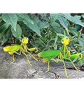 Amazon.com : GIFTME 5 Metal Mantis Garden Yard Art Decor,Praying