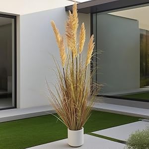 home decoration home decor