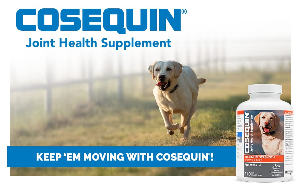 Nutramax COSEQUIN Joint Health Supplement for dogs, Maximum Strength