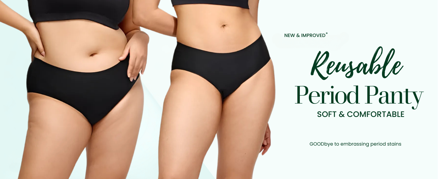 reusable period panty, underwear, brief, hipster, panty, leakproof panty, period Panty