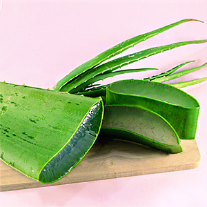 Aloe Vera Gel