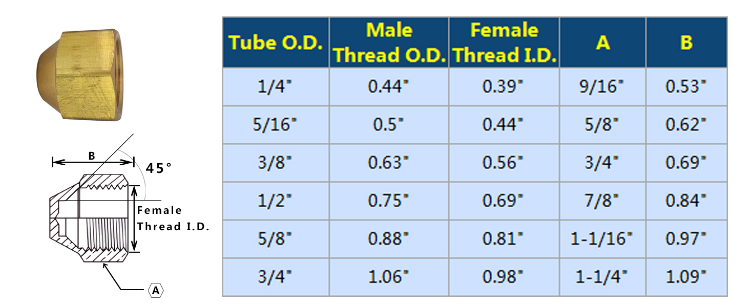 TL TOOLEGIN Brass Flare Cap Assortment Kits, SAE 45 Degree