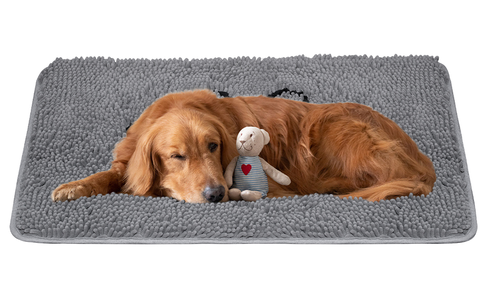 Royalotic Soft Chenille Water Absorbent Door Mat Indoor, Traps Mud and