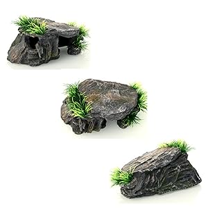 新品 爬虫類 ケージ ヘビ リクガメ トカゲ ハリネズミ カメ オーダー品 新品 爬虫類 ケージ ヘビ リクガメ トカゲ ハリネズミ カメ