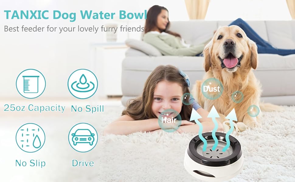slow feeder dog bowls