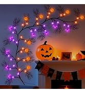 Fohil Halloween Willow Vine Twig Garland with Pumpkin Bat Lights, 6.56Ft 36 LED Halloween Lights ...