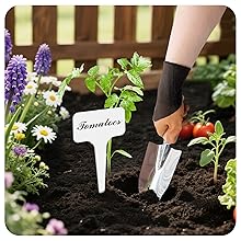 plant tags