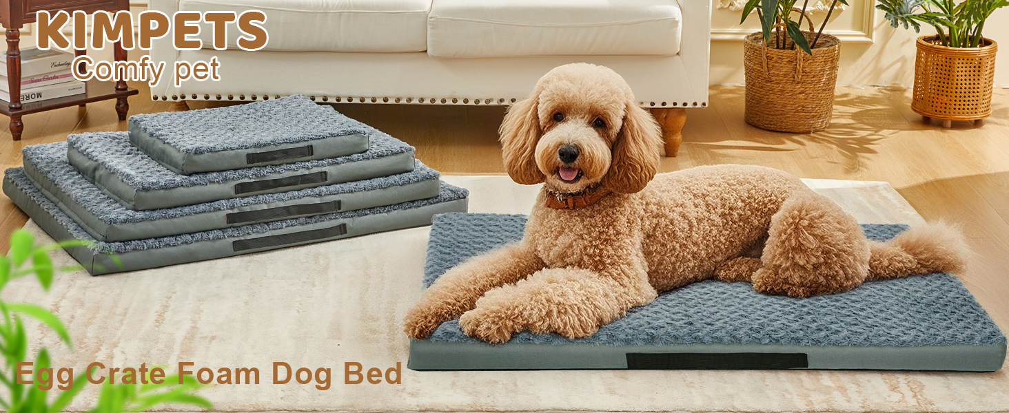 Orthopedic Dog Beds