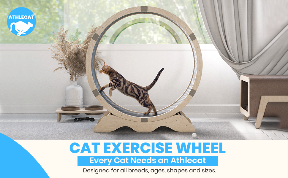 Athlecat Cat Exercise Wheel Training Guide and Toy Included 40