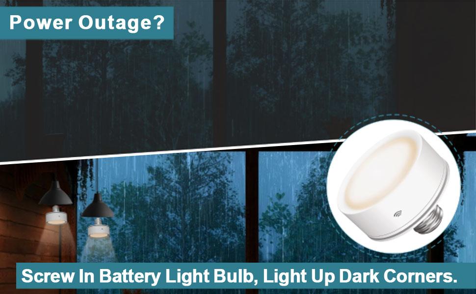 2 Pack Battery Light Bulb with Timing Function, E26 AA Battery Operated